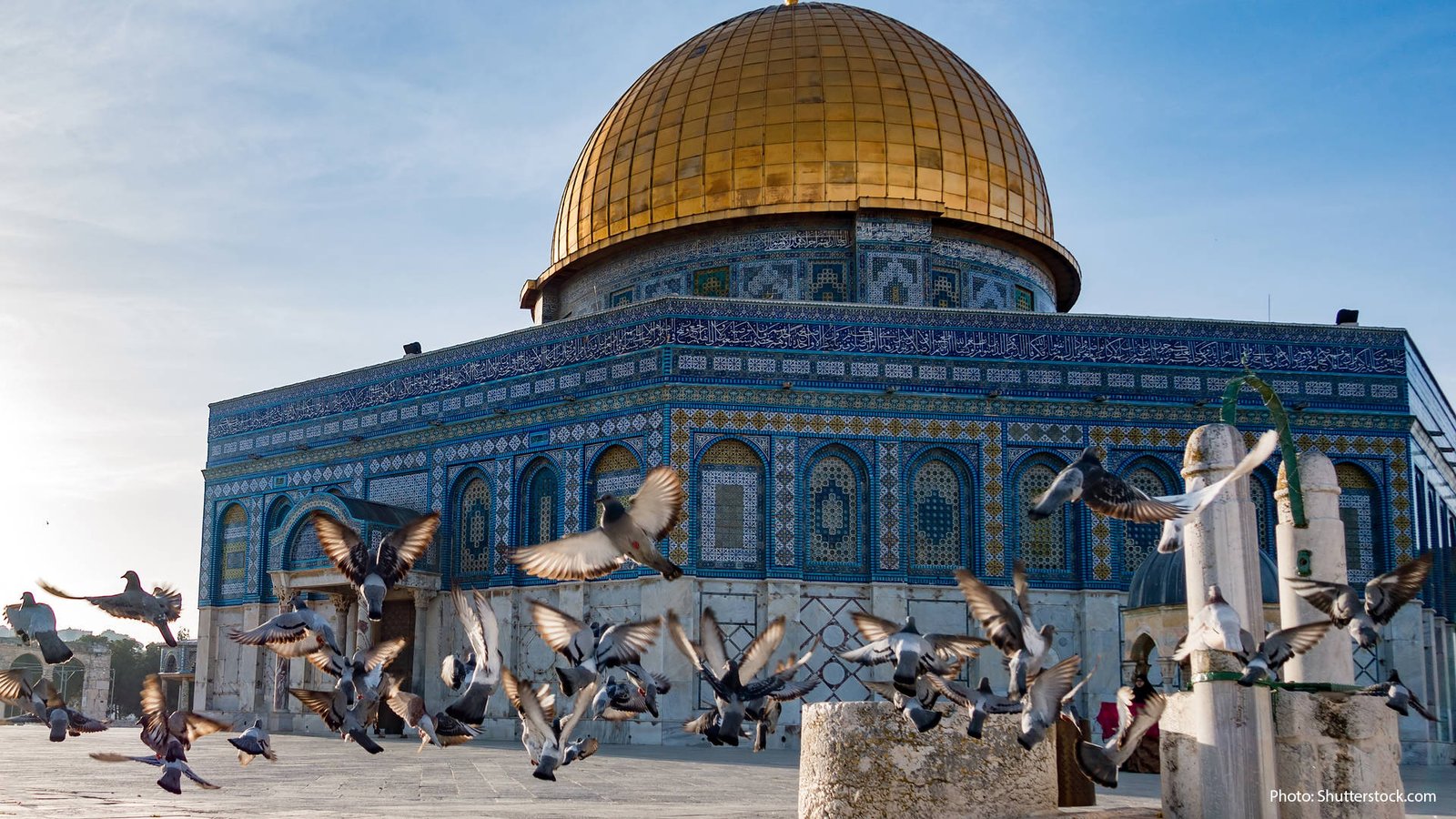 dfbc5aa195a9-palestine_3