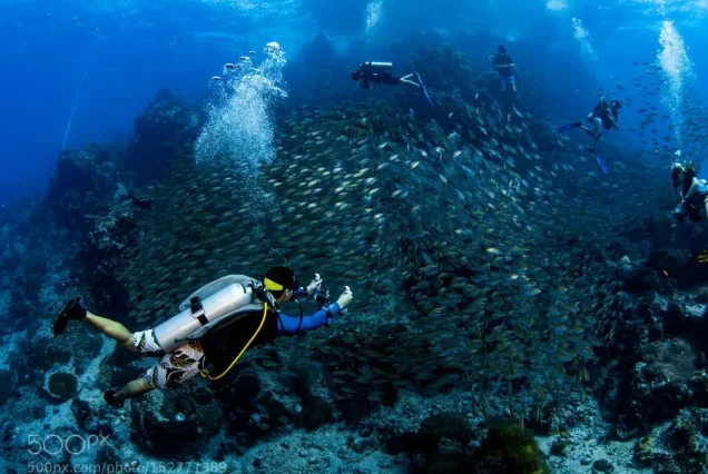 Red Sea Diving Experiences in Hurghada with Transfer – Anteros Travel